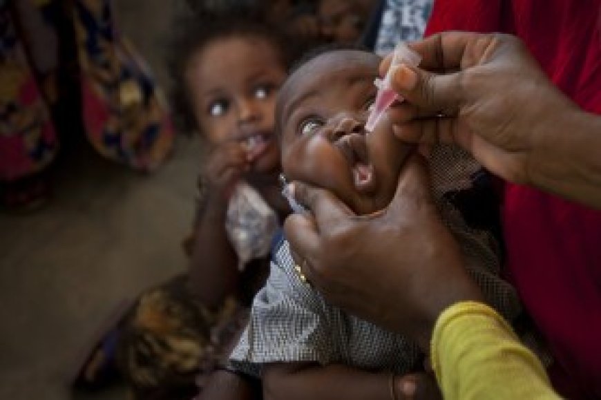 Zimbabwe starts an emergency polio vaccination drive after detecting cases caused by a rare mutation