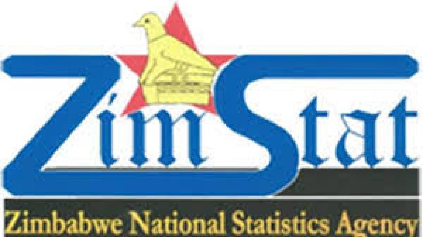 Zim’s economy grew by 5pc in 2023