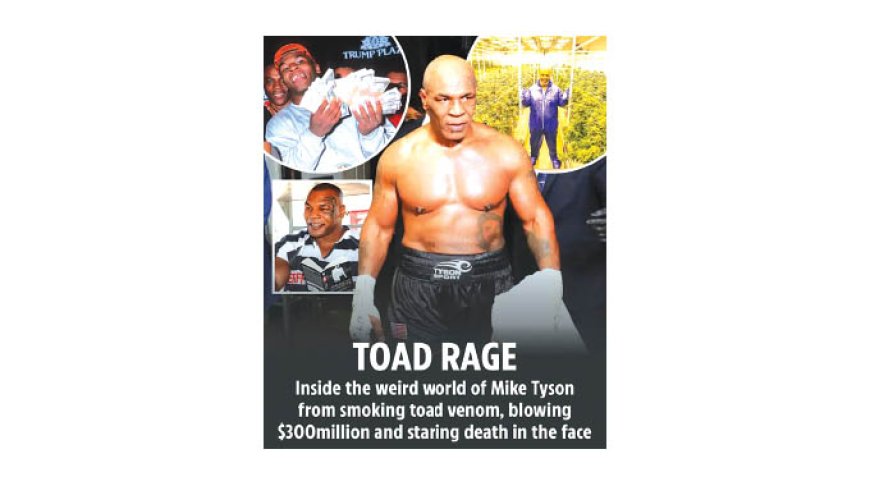 MIKE TYSON’S world has included smoking psychedelics, running a cannabis empire and perhaps most surprisingly of all, now boxing again.